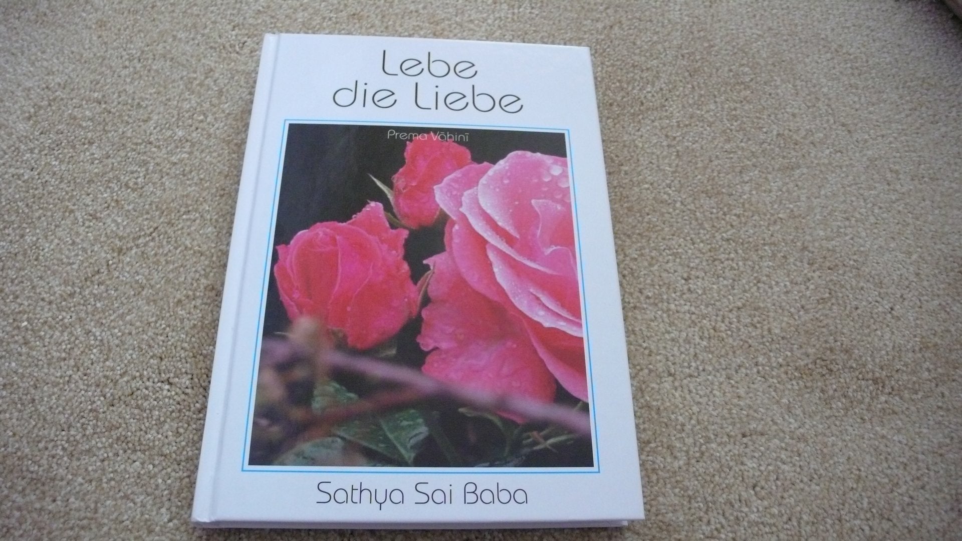 Product Image: Lebe die Liebe