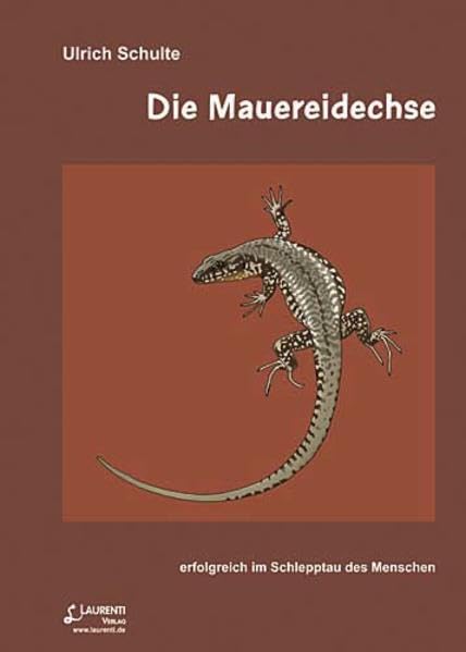 Die Mauereidechse: Erfolgreich im Schlepptau des Menschen (Zeitschrift für Feldherpetologie - Beihefte) Natural Sciences