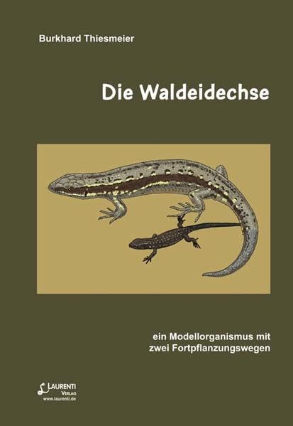 Die Waldeidechse: ein Modellorganismus mit zwei Fortpflanzungswegen (Zeitschrift für Feldherpetologie - Beihefte) Natural Sciences