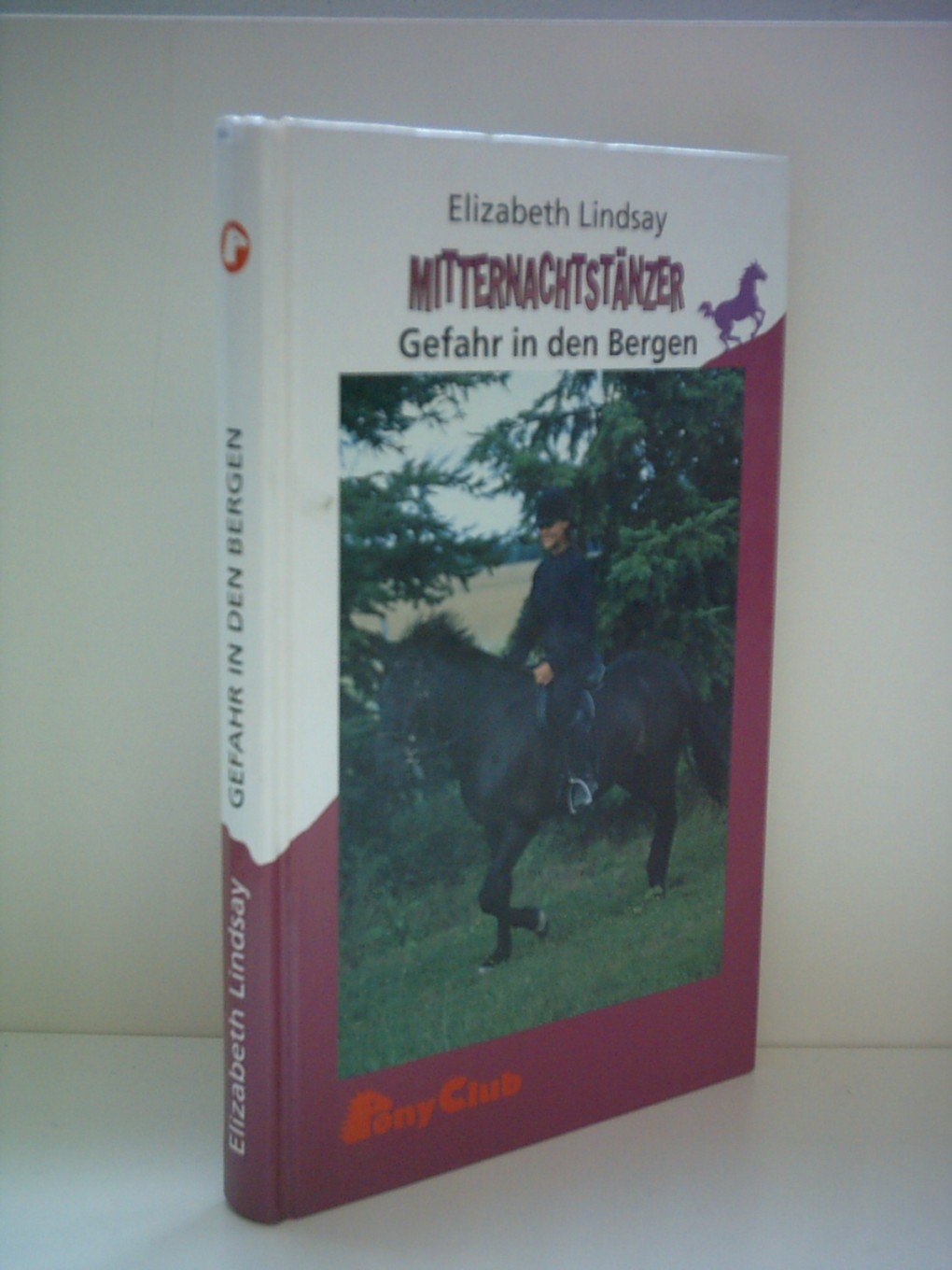 Gefahr in den Bergen. Mitternachtstänzer Books