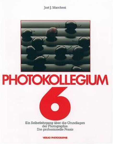 Photokollegium. Band 1 bis 6: Photokollegium, Bd.6, Die professionelle Praxis: Ein Selbstlehrgang über die technischen Grundlagen der Photographie. Die professionelle Praxis Photography