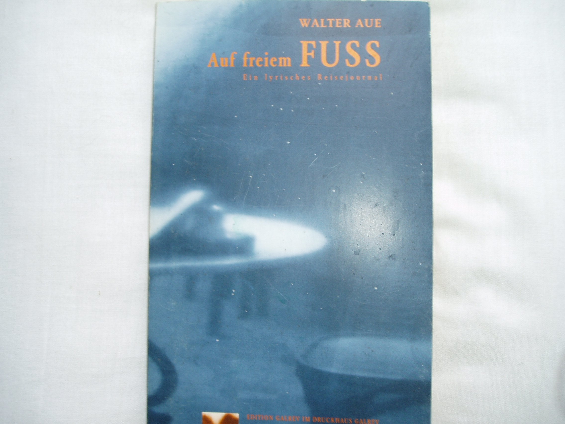 Auf freiem Fuss: Ein lyrisches Reise-Journal. Mit literarischen Portraits von Proust, Hemingway, Joyce, Brinkmann, Grass, Whitman, Frisch, Ginsberg, Burroughs u.v.a. (Edition Galrev) Historical Fiction