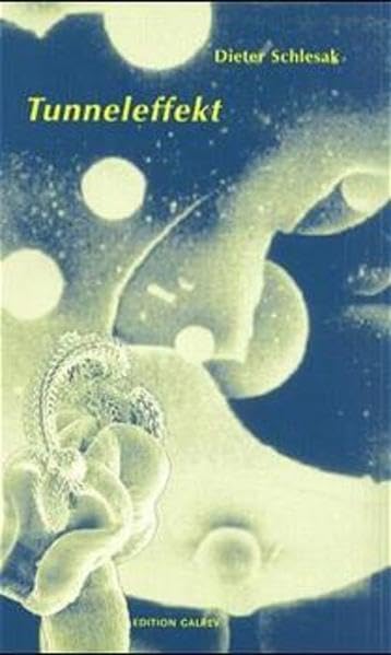 Tunneleffekt: Gedichte: Gedichte. Mit e. Essay 'Fragmente zu einer posthumen Poetik' (Edition Galrev) Poetry