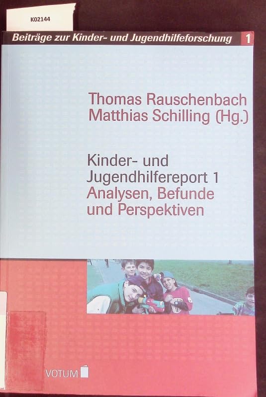 Jugendhilfereport I: Analysen, Befunde und Perspektiven (Beiträge zur Kinder- und Jugendhilfeforschung) Social Sciences