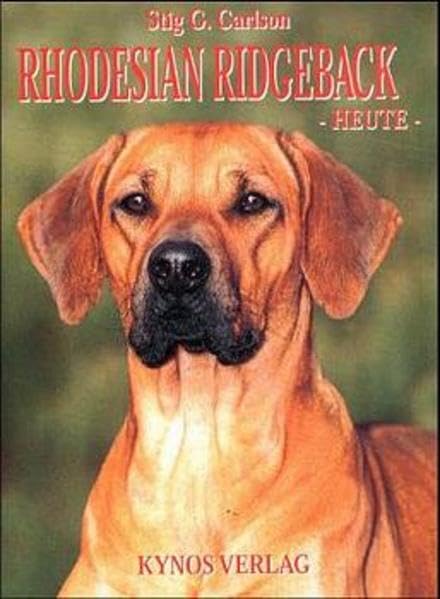 Rhodesian Ridgeback heute Pets