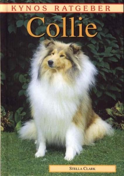 Collie Pets