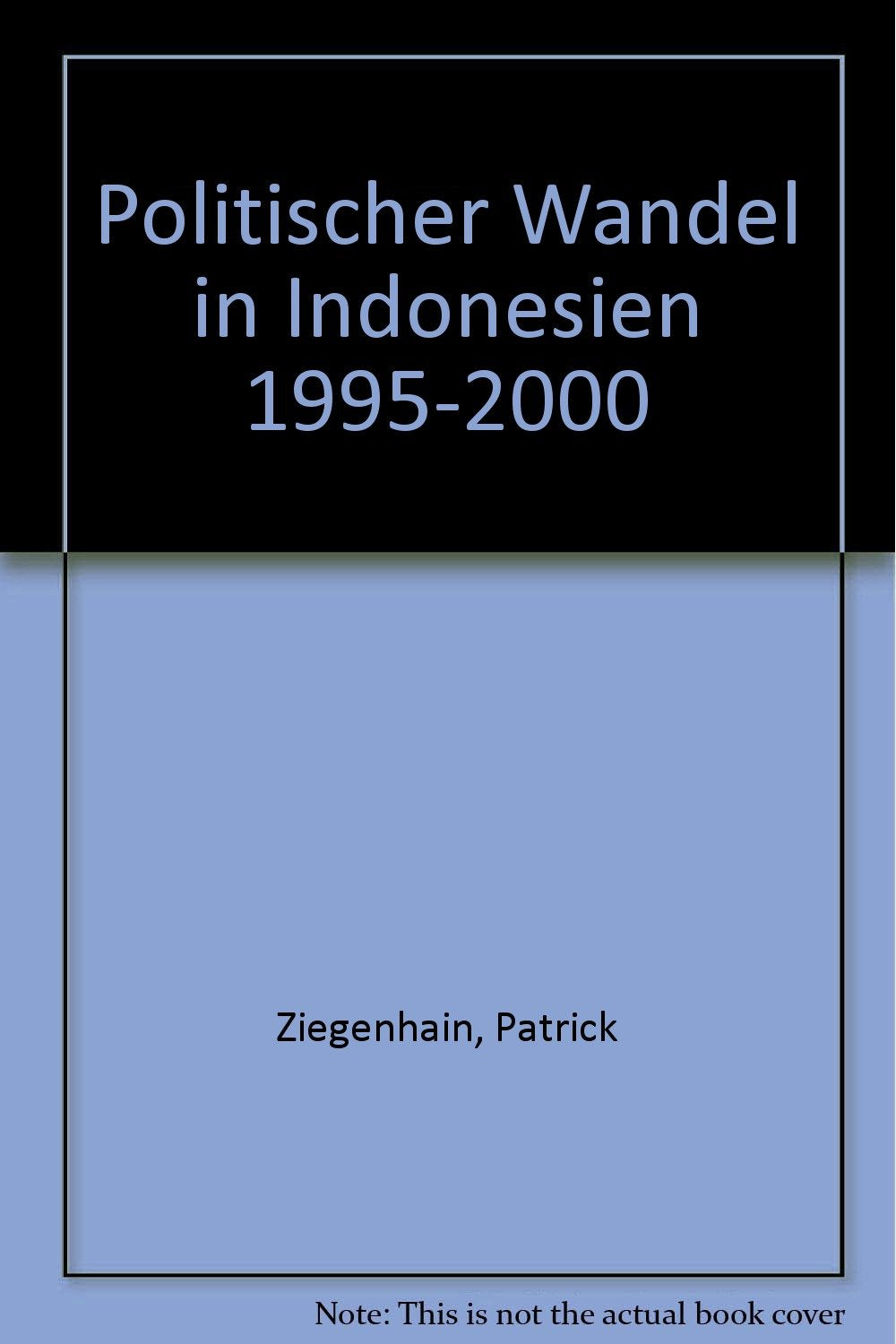 Politischer Wandel in Indonesien 1995-2000 Politics & History