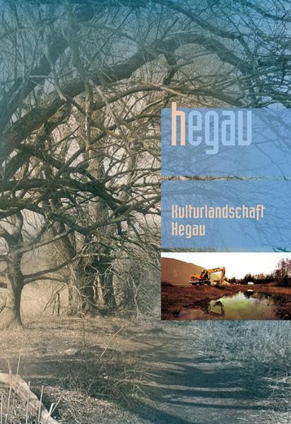 HEGAU Jahrbuch 2019: Zeitschrift für Geschichte, Volkskunde, Naturgeschichte des Gebietes... / Kulturlandschaft, Naturlandschaft, Kiesabbau, ... Geistliche Bilder im Hegau und am Bodensee - Kramer, Wolfgang book