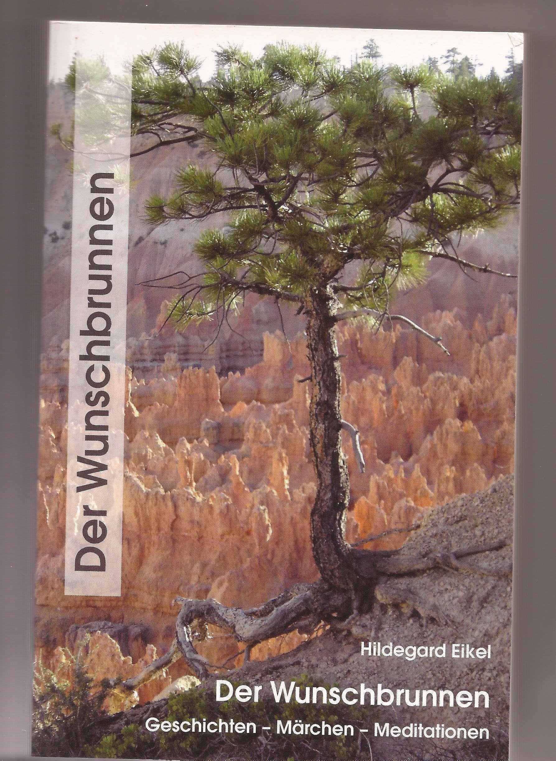 Der Wunschbrunnen: Geschichten - Märchen - Meditationen Fiction