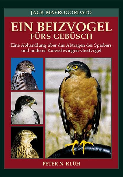 Ein Beizvogel fürs Gebüsch: Eine Abhandlung über das Abtragen des Sperbers und anderer Kurzschwingen-Greifvögel Leisure, Home & Garden