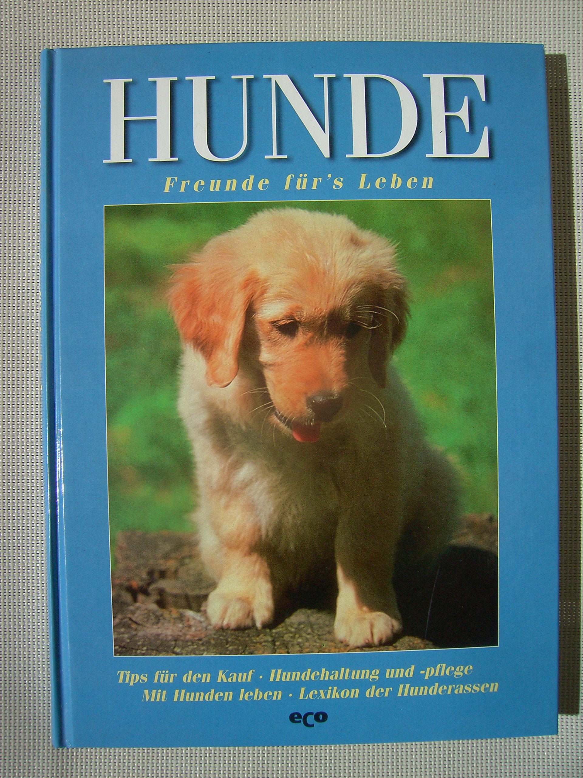 Hunde: Freunde für‘s Leben : . Books