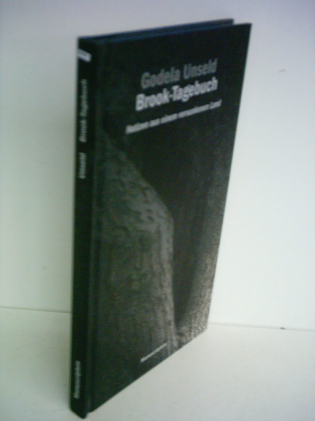 Brook-Tagebuch: Notizen aus einem versunkenen Land Memories