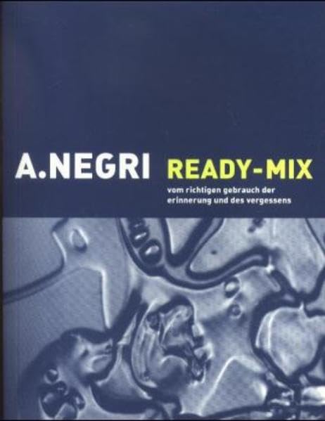 Ready-Mix: Vom richtigen Gebrauch der Erinnerung und des Vergessens Law Books