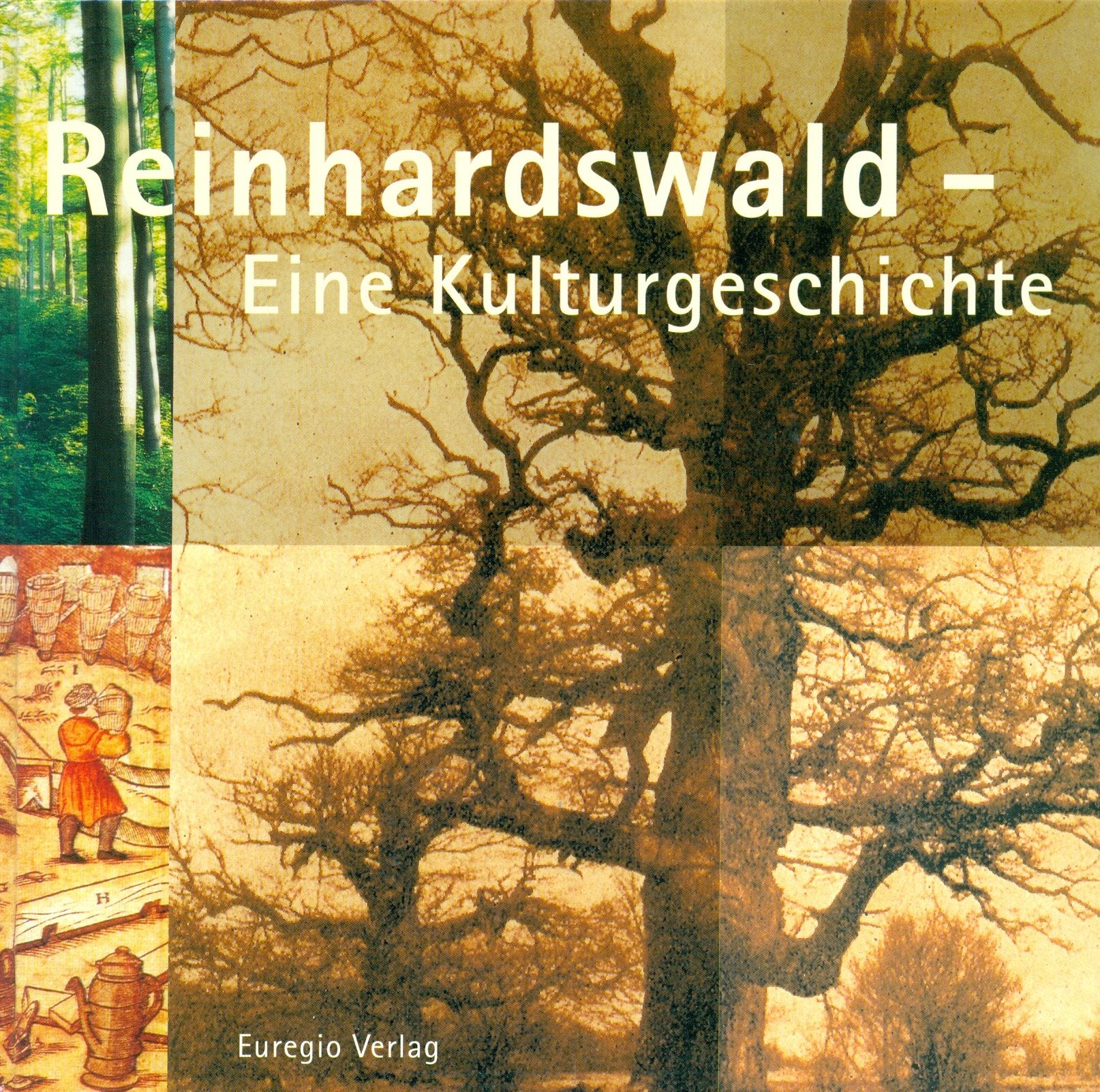 Product Image: Reinhardswald