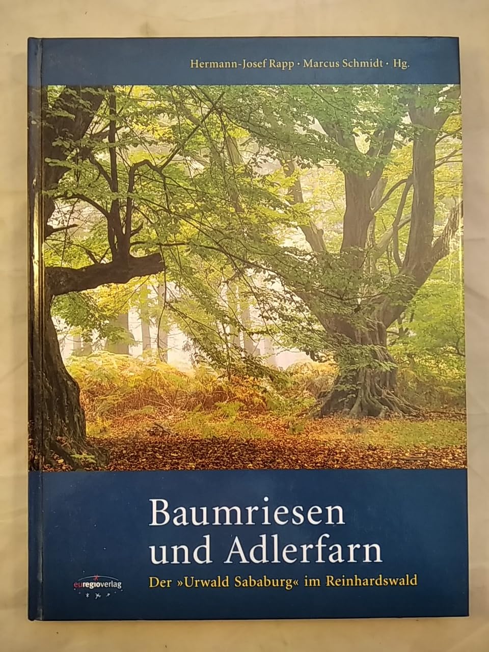 Baumriesen und Adlerfarn: Der "Urwald Sababurg" im Reinhardswald Garden & Plants