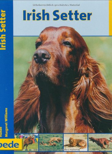 Product Image: Irish Setter, Praxisratgeber