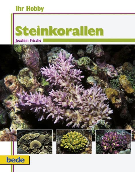 Steinkorallen Pets