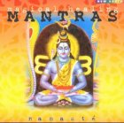 Magical Healing Mantras, 1 Audio-CDs Lifestyle