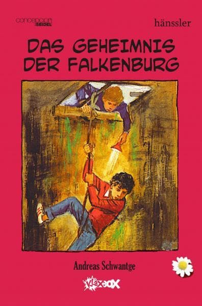 Das Geheimnis der Falkenburg Novels & Short Stories