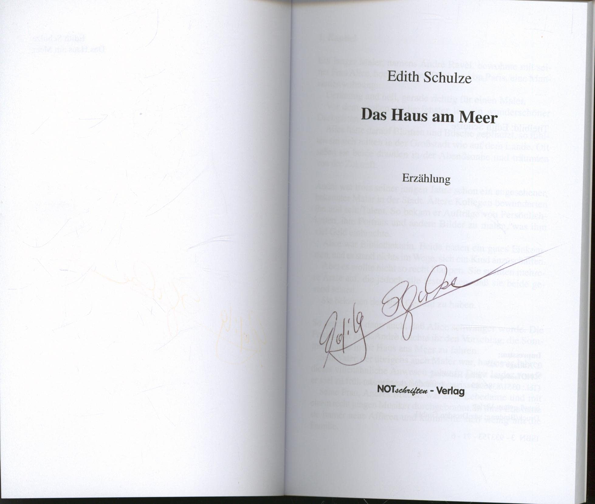 Aus der Finsternis befreit (Notschriften-Verlag im Noteingang e.V.) Contemporary literature
