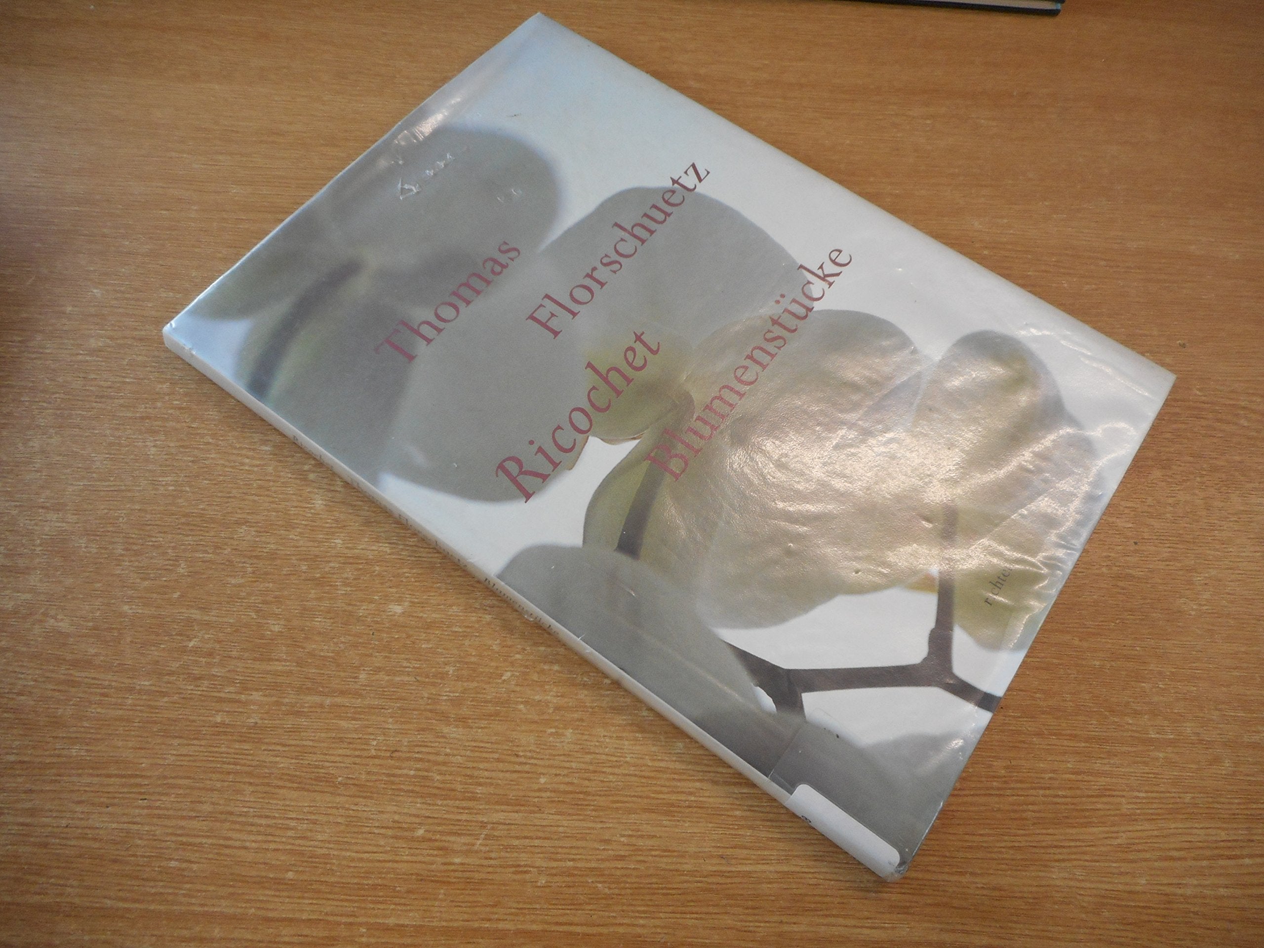 Thomas Florschuetz: Ricochet; Blumenstücke Travel