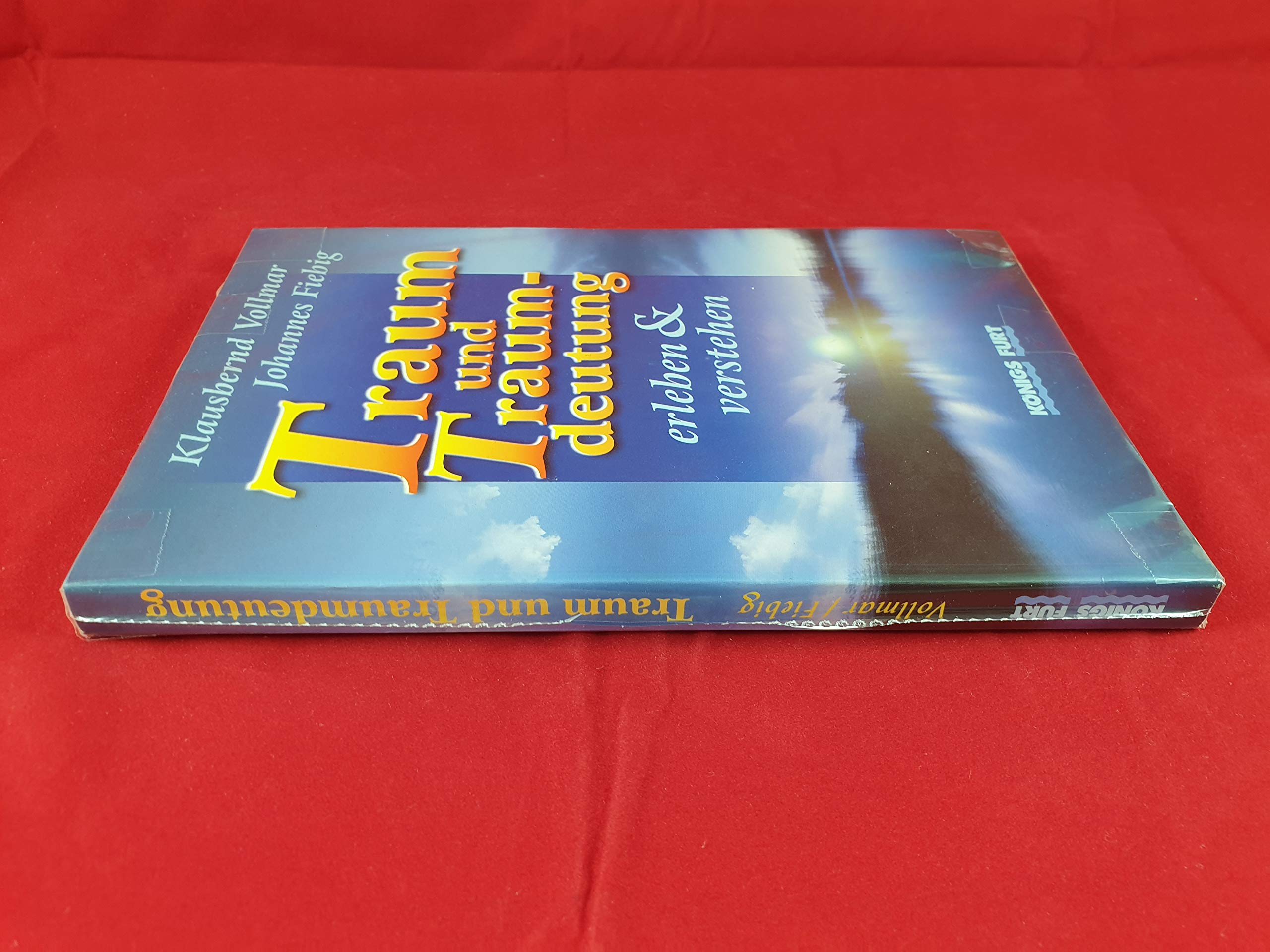 Traum und Traumdeutung: Erleben und verstehen Psychology
