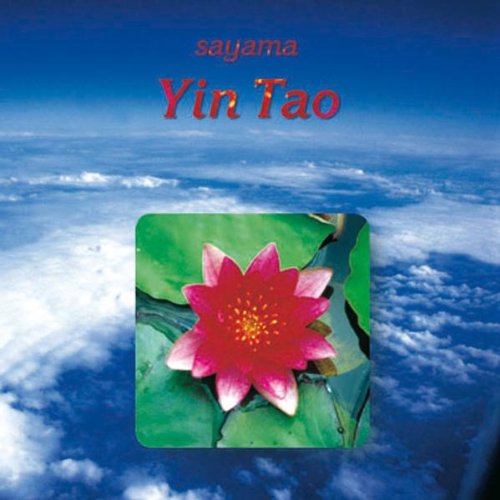 Yin Tao Other music genres