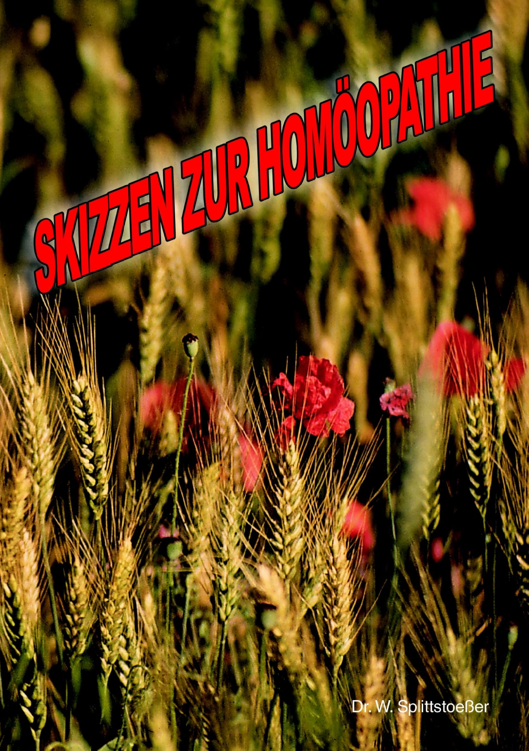 Skizzen zur Homöopathie (Book on Demand) Medicine