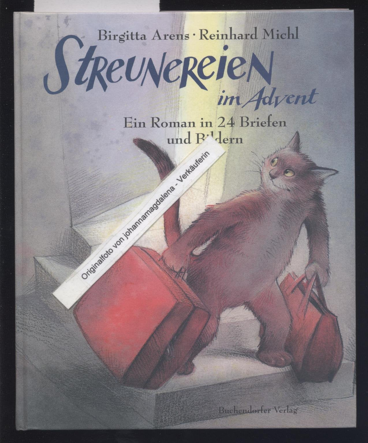 Streunereien im Advent. Ein Roman in 24 Briefen und Bildern Fiction