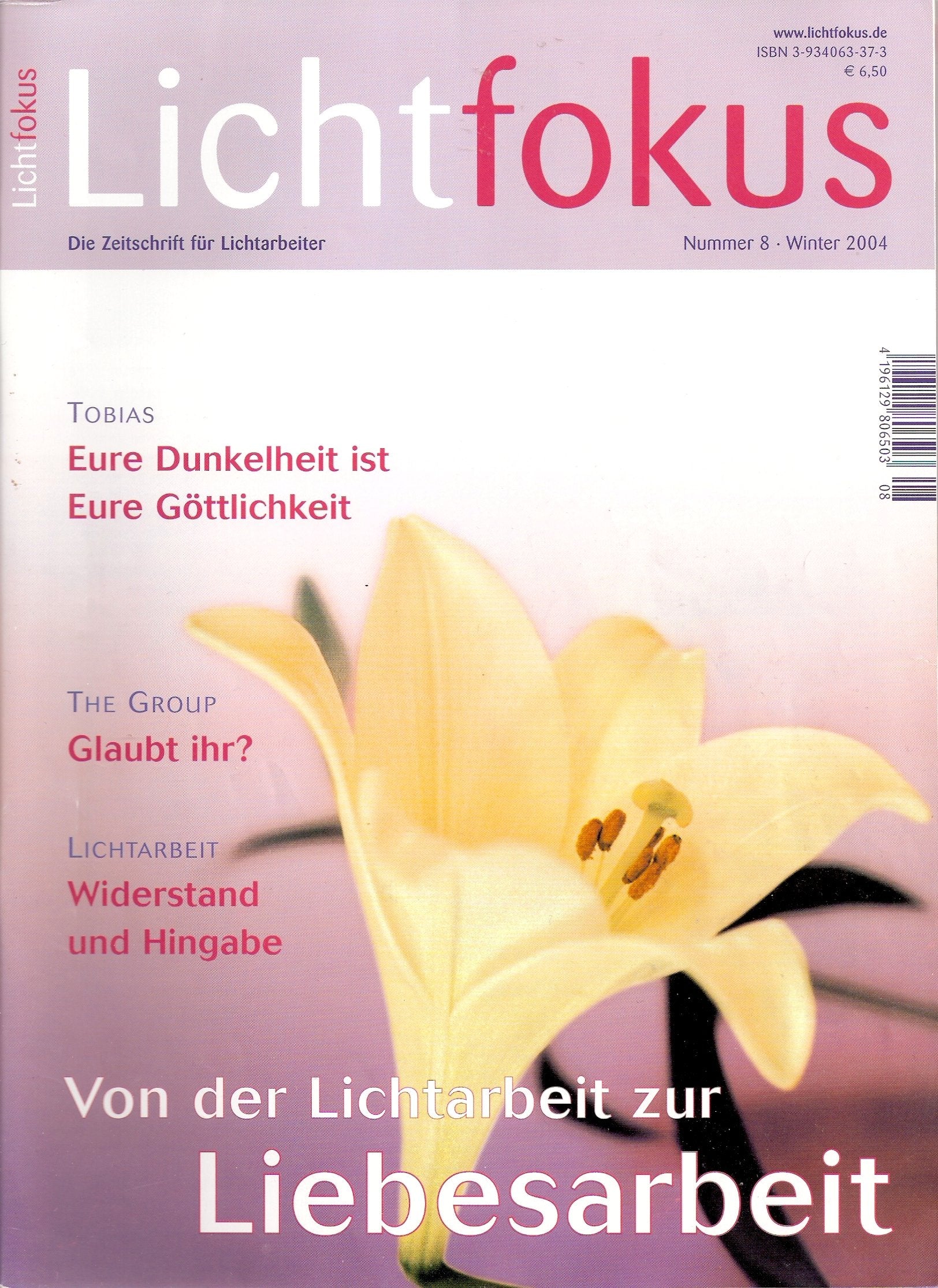 Lichtfokus. Zeitschrift für Lichtarbeiter: Von Lichtarbeit zu Liebesarbeit Books