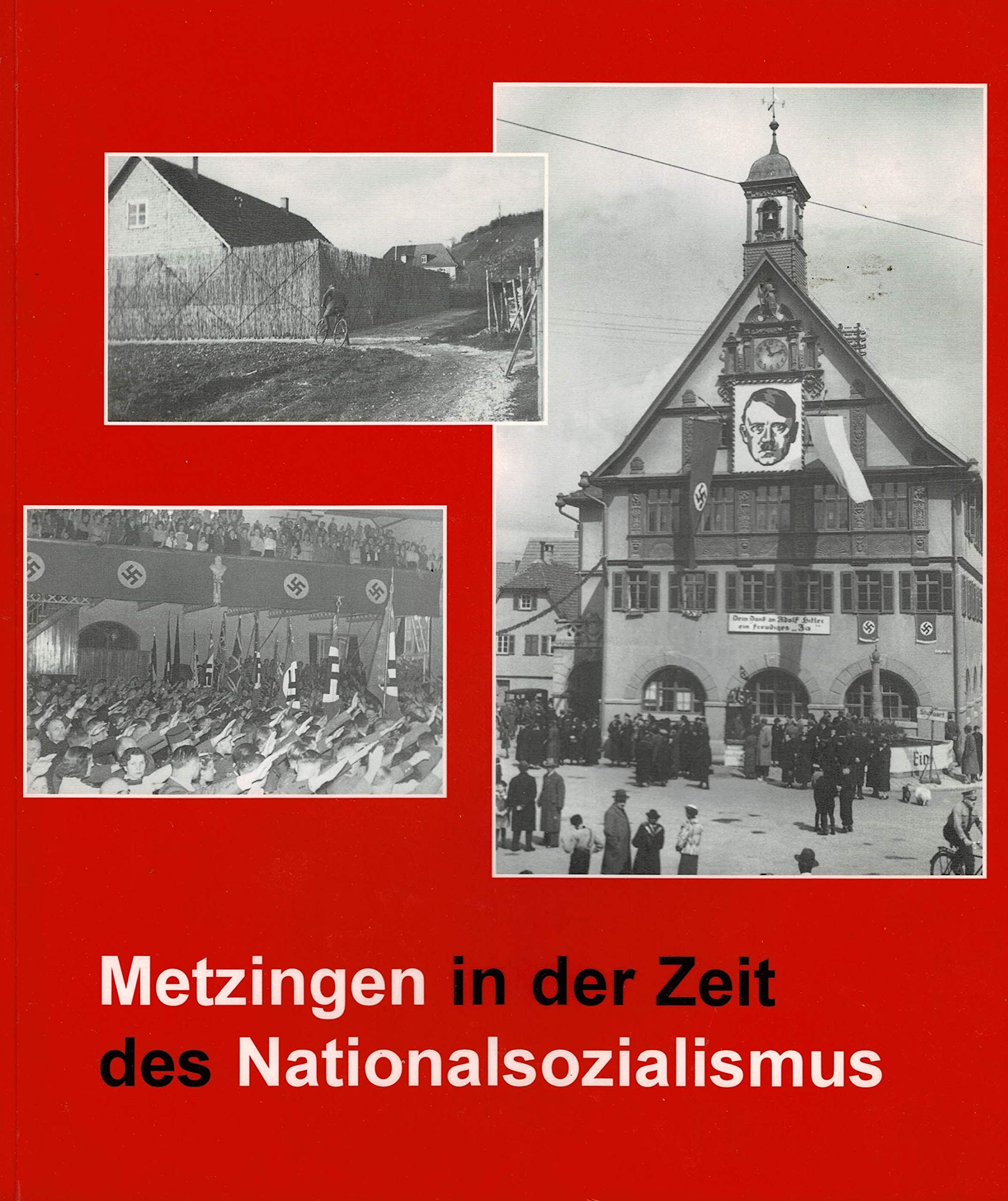 Metzingen in der Zeit des Nationalsozialismus (Publikationen des Stadtarchivs Metzingen) German history