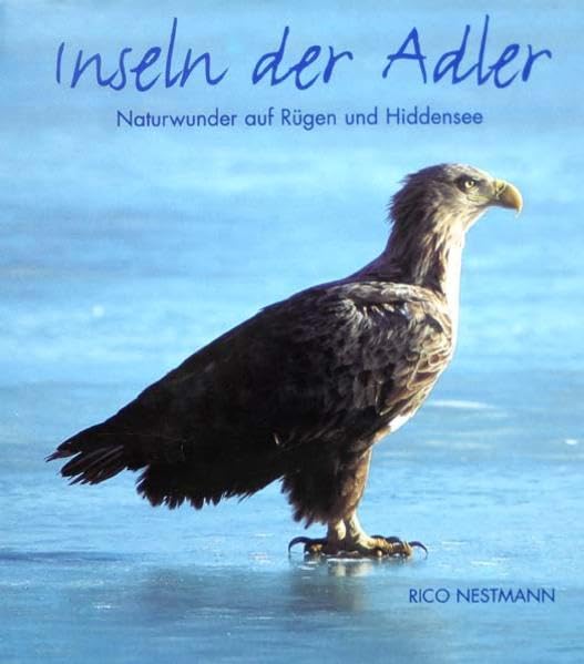 Inseln der Adler: Naturwunder auf Rügen und Hiddensee Film, Art & Culture