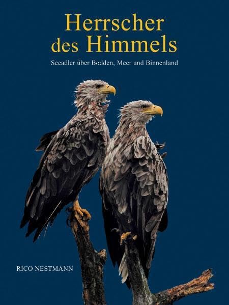 Herrscher des Himmels: Seeadler über Bodden, Meer und Binnenland Leisure, Home & Garden