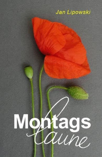 Montagslaune: Geschichten für anhaltend gute Laune! (Kurzgeschichten) Essays & Short Stories