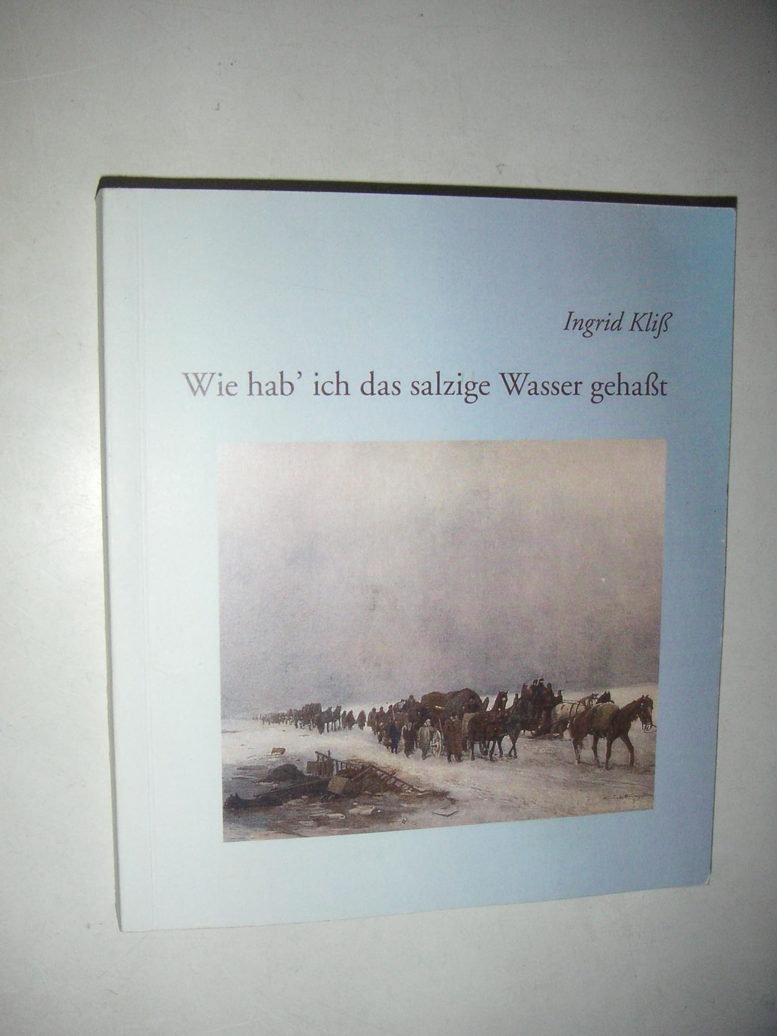 Wie hab' ich das salzige Wasser gehaßt Books