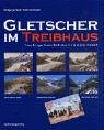 Gletscher im Treibhaus: Fotografischer Bestandsvergleich der Alpengletscher der letzten hundert Jahre Natural Sciences