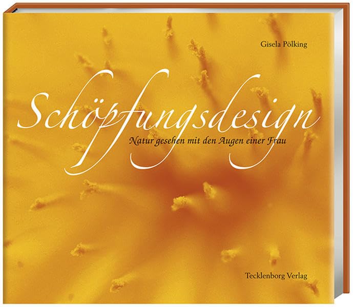 Schöpfungsdesign: Oberflächen in der Natur - gesehen mit den Augen einer Frau Leisure, Home & Garden