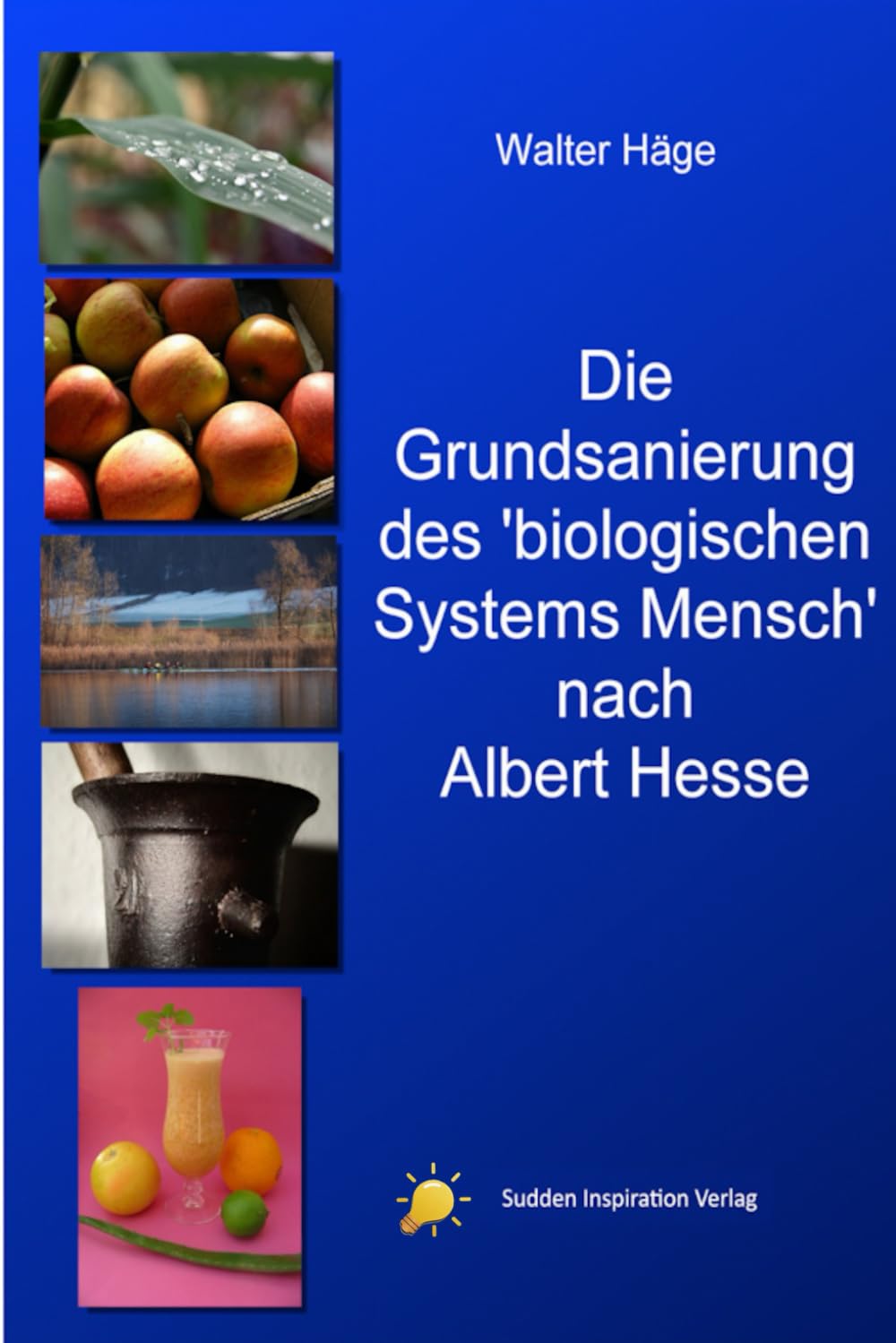 Die Grundsanierung des 'Biologischen Systems Mensch’ nach Albert Hesse book
