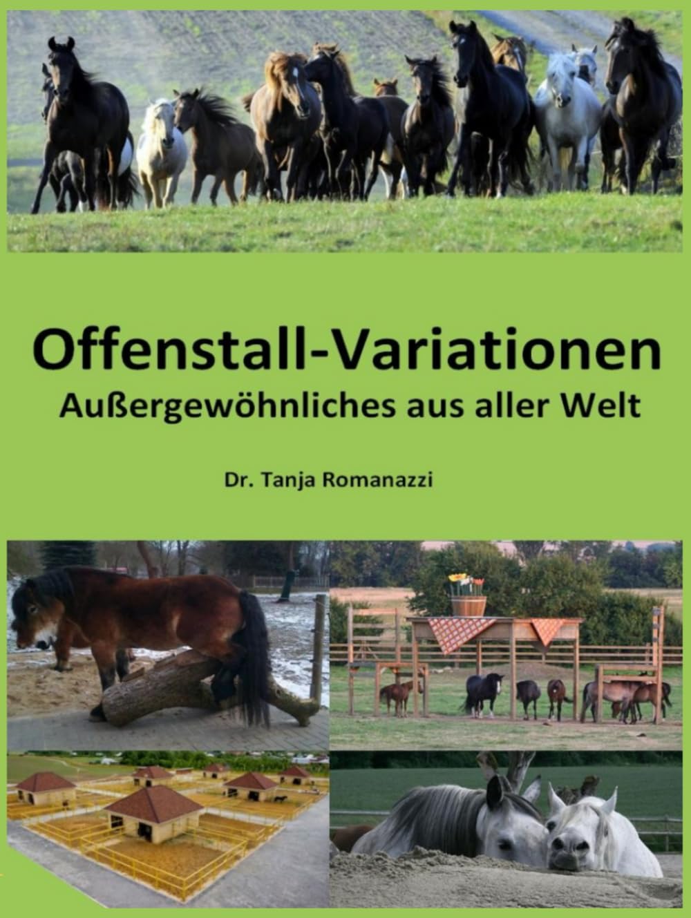 Offenstall-Variationen: Außergewöhnliches aus aller Welt Film, Art & Culture