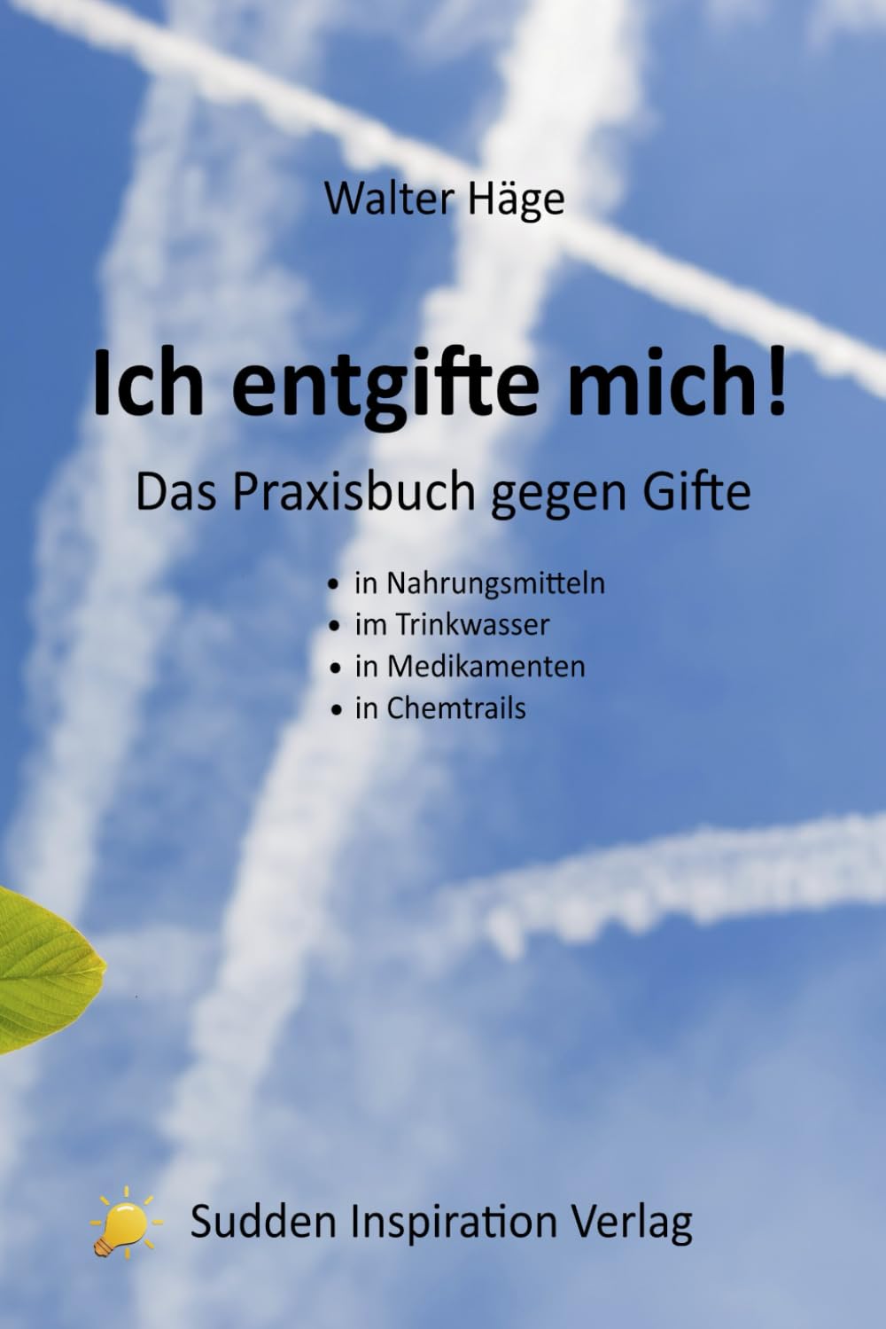 Ich entgifte mich!: Das Praxisbuch gegen Gifte Health, Nutrition & Fitness