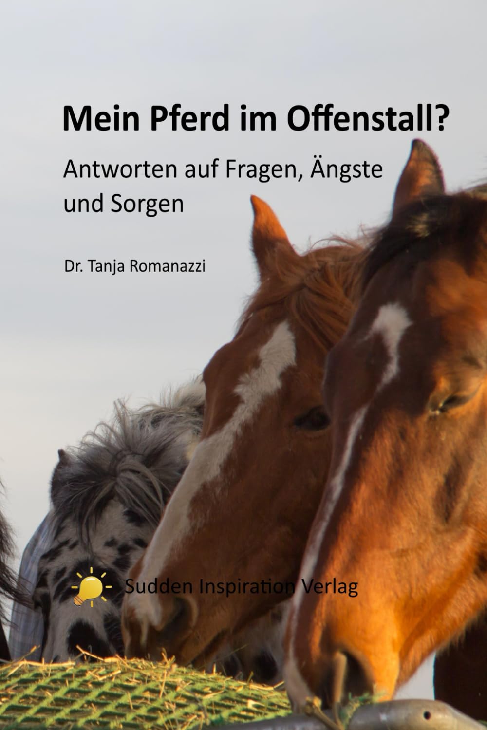 Mein Pferd im Offenstall: Antworten auf Fragen, Ängste und Sorgen Pets