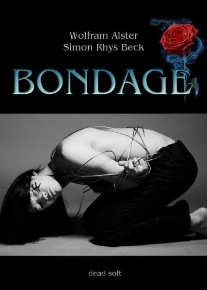 Bondage: Der dritte Band in der Reihe um Shahin und Brix Historical Fiction