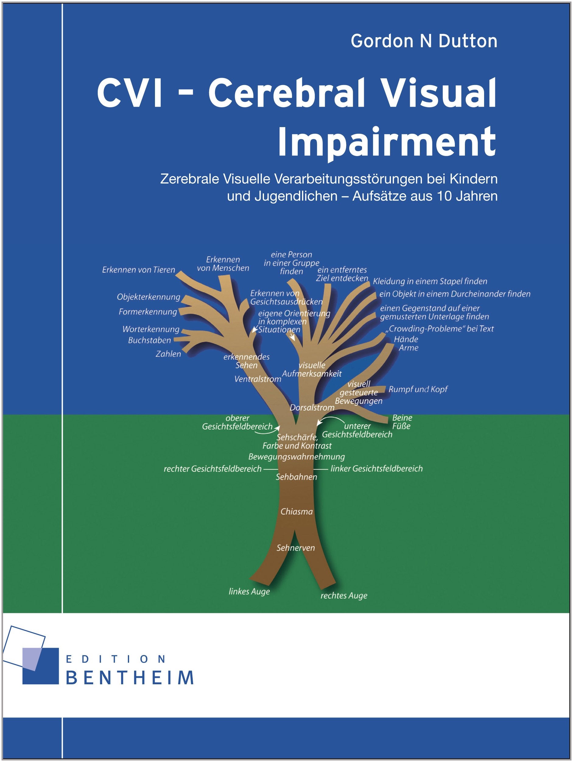 CVI - Cerebral Visual Impairment: Zerebrale Visuelle Verarbeitungsstörungen bei Kindern und Jugendlichen - Aufsätze aus 10 Jahren Books