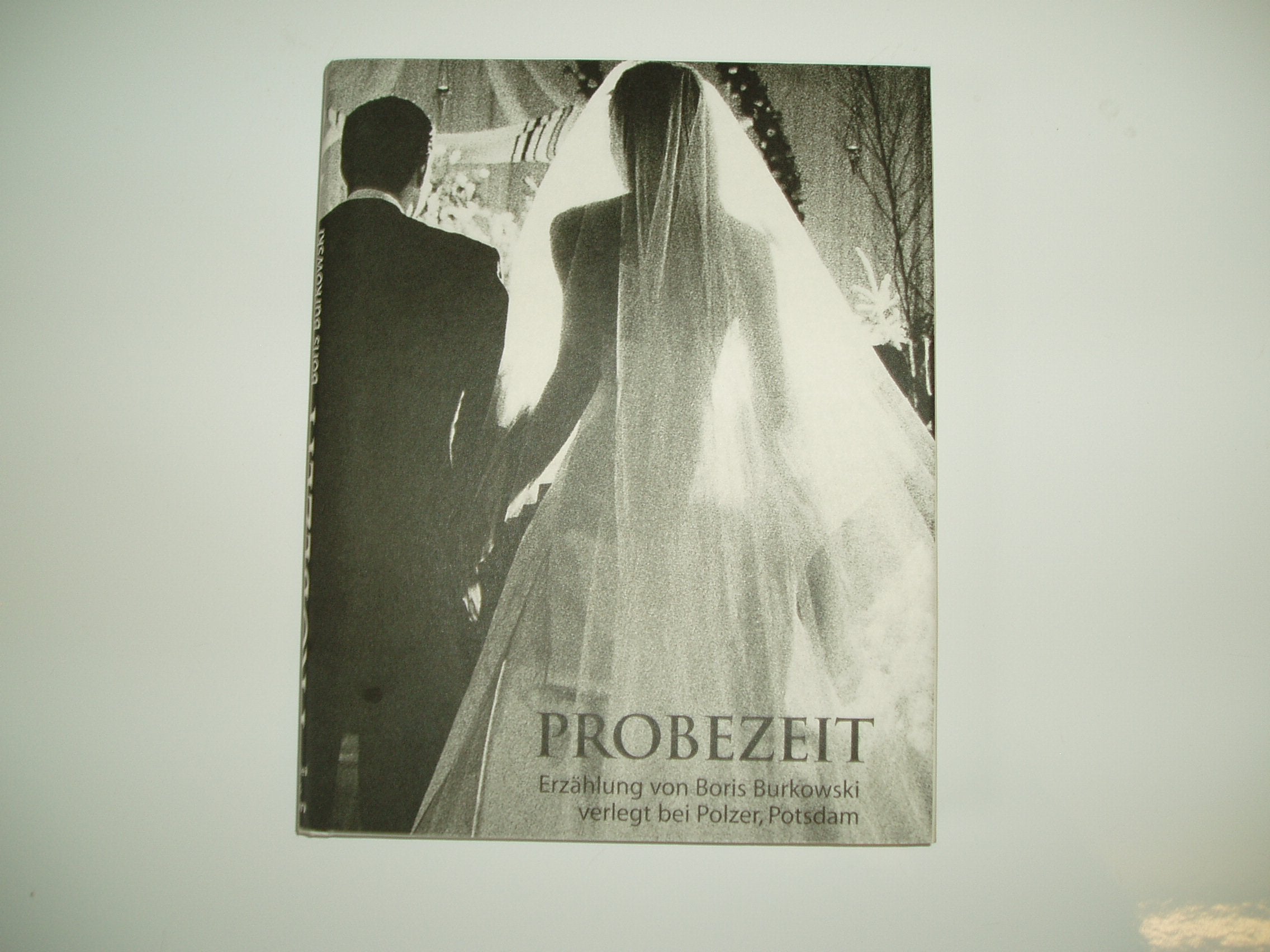 Probezeit. Erzählung. Books