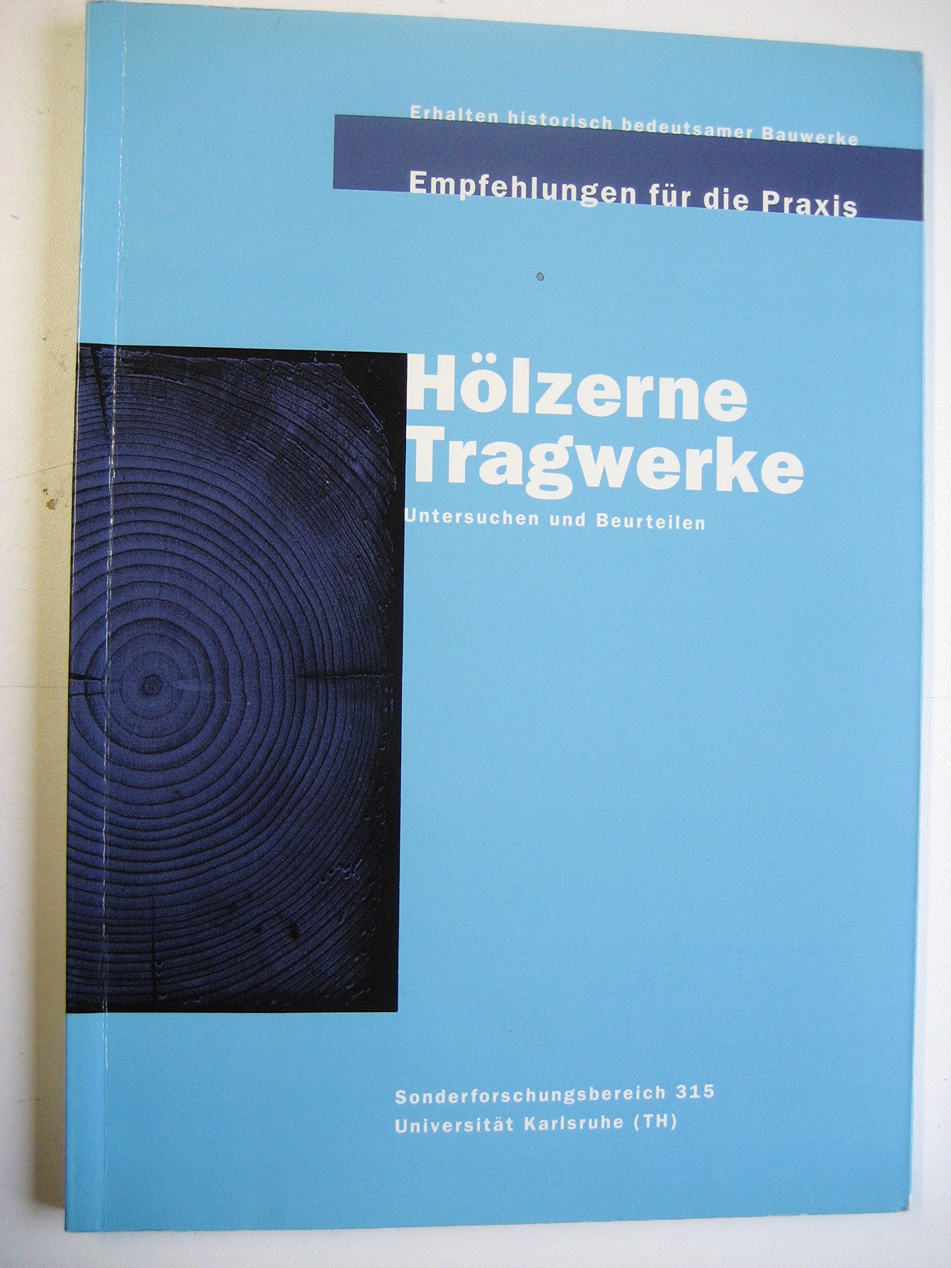 Erhalten historisch bedeutsamer Bauwerke. Empfehlungen für die Praxis / Historische Holztragwerke: Untersuchen, Berechnen und Instandsetzen Books