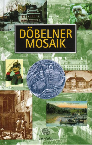 Döbelner Mosaik 2004 Politics & History books