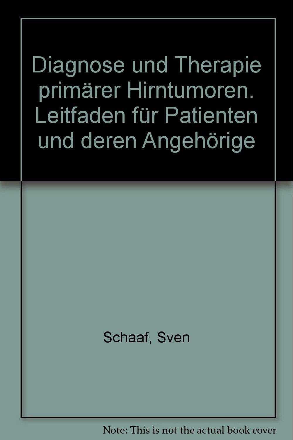 Diagnose und Therapie primärer Hirntumoren. Leitfaden für Patienten und deren Angehörige Books