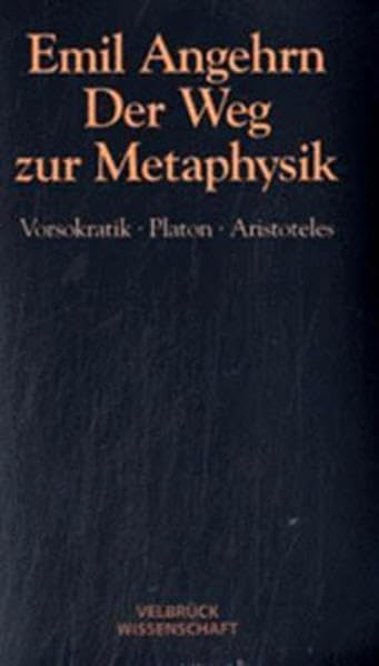 Der Weg zur Metaphysik - Studienausgabe Philosophy