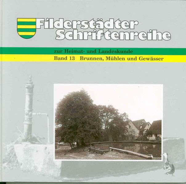 Brunnen, Mühlen und Gewässer: Filderstadt und das Wasser (Filderstädter Schriftenreihe zur Geschichte und Landeskunde) Politics & History