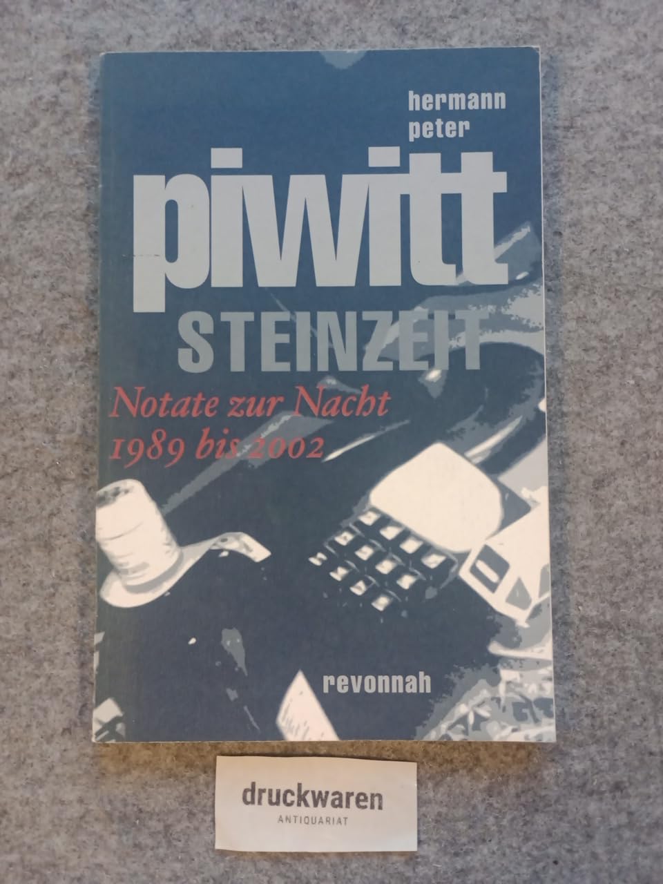Steinzeit: Notate zur Nacht 1989-2002 Social Sciences